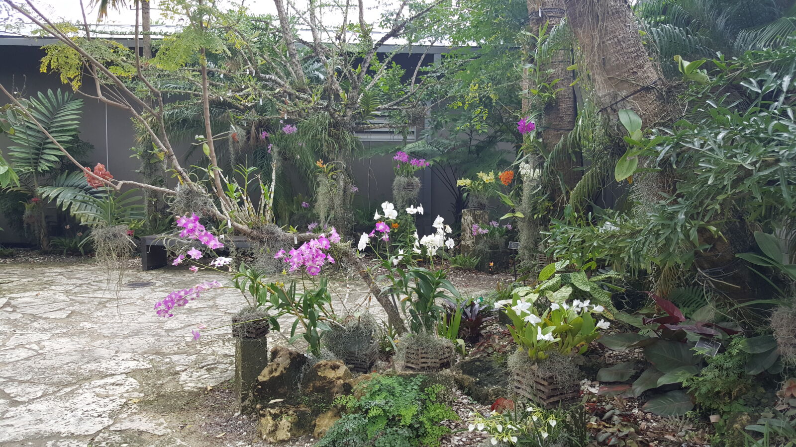 Samsung GALAXY S6 edge sample photo. Botanical, gardens photography