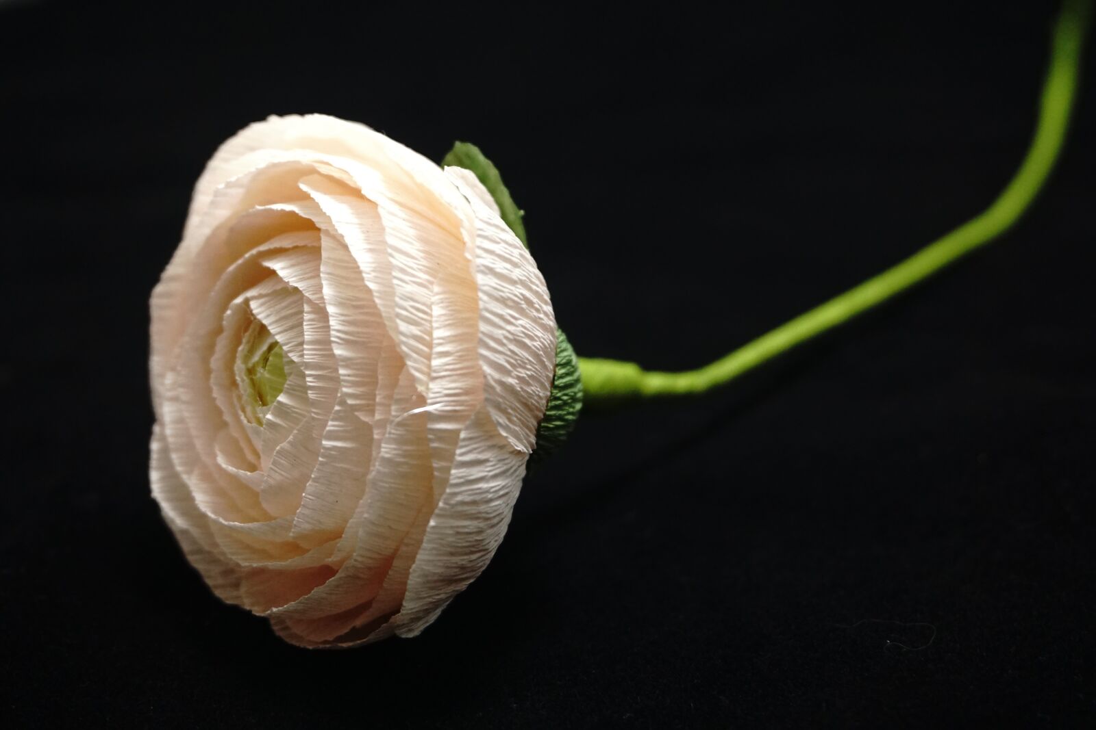 Sony E 16-50mm F3.5-5.6 PZ OSS sample photo. Paper flowers, crepe paper photography