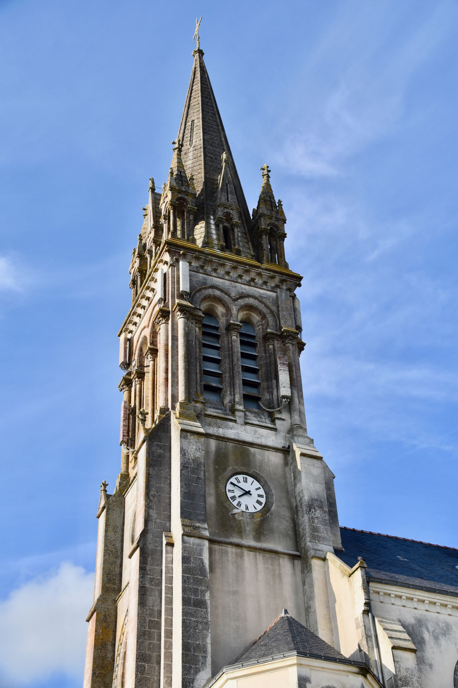 Nikon D5600 sample photo. Church, bell tower church photography