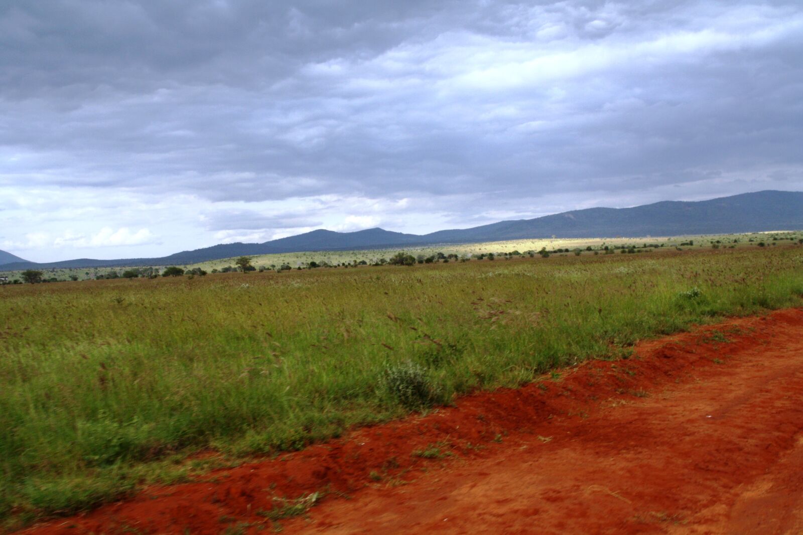 Canon EOS 1000D (EOS Digital Rebel XS / EOS Kiss F) sample photo. Afrika, kenya, safari photography