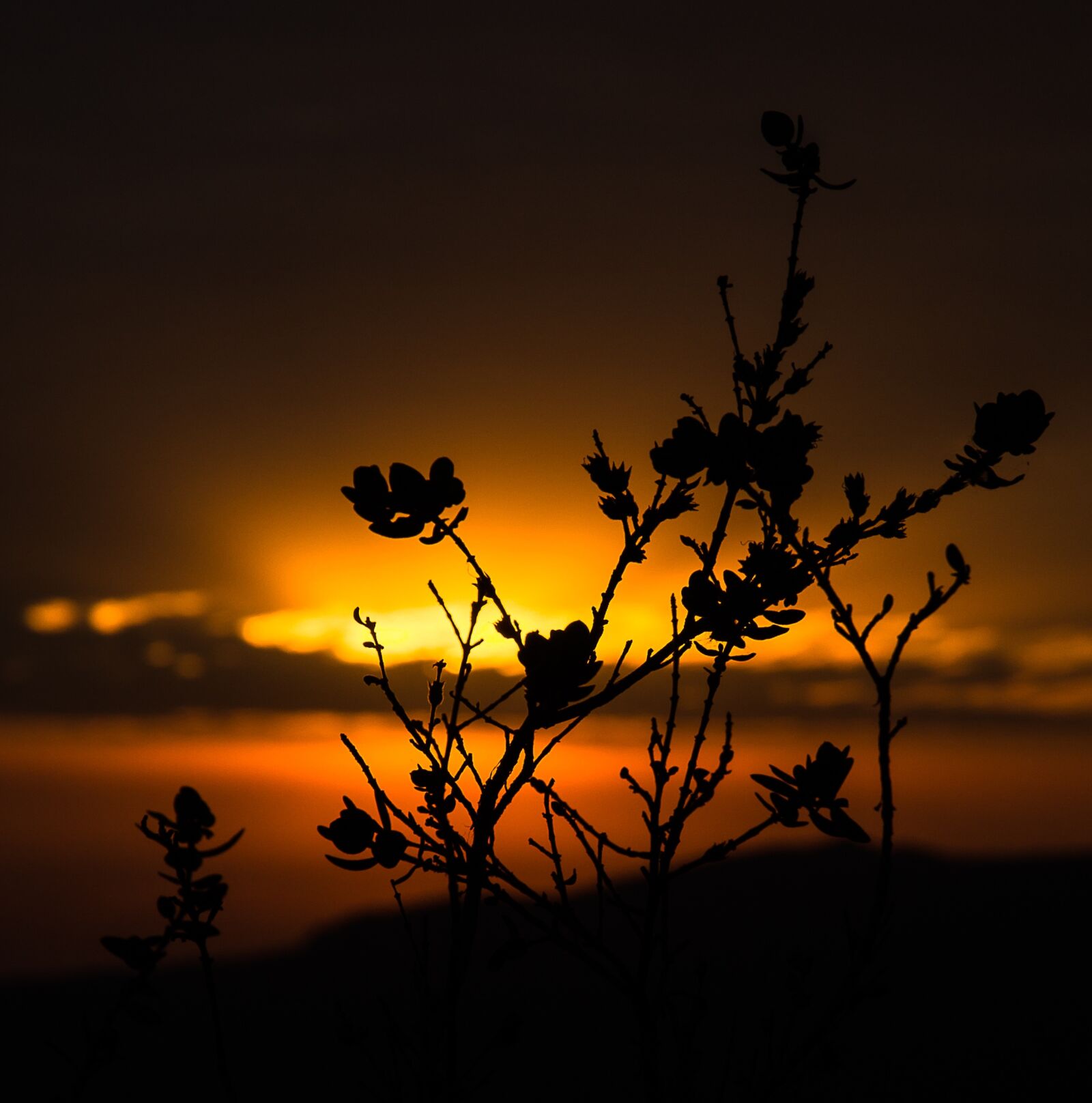 Nikon D3100 sample photo. Sol, nature, landscape photography