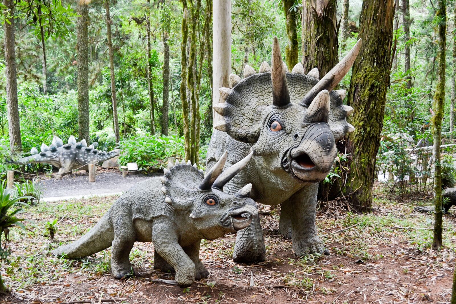 Nikon D3100 sample photo. Dinosaur, robot, jurassic photography