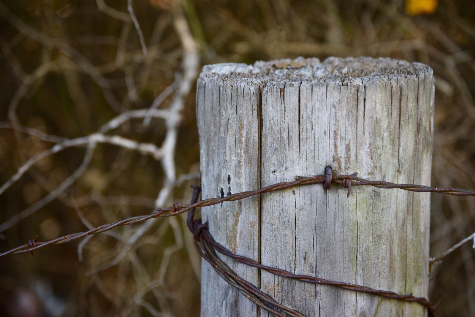 Nikon D5300 sample photo. Fence, wire, pasture photography