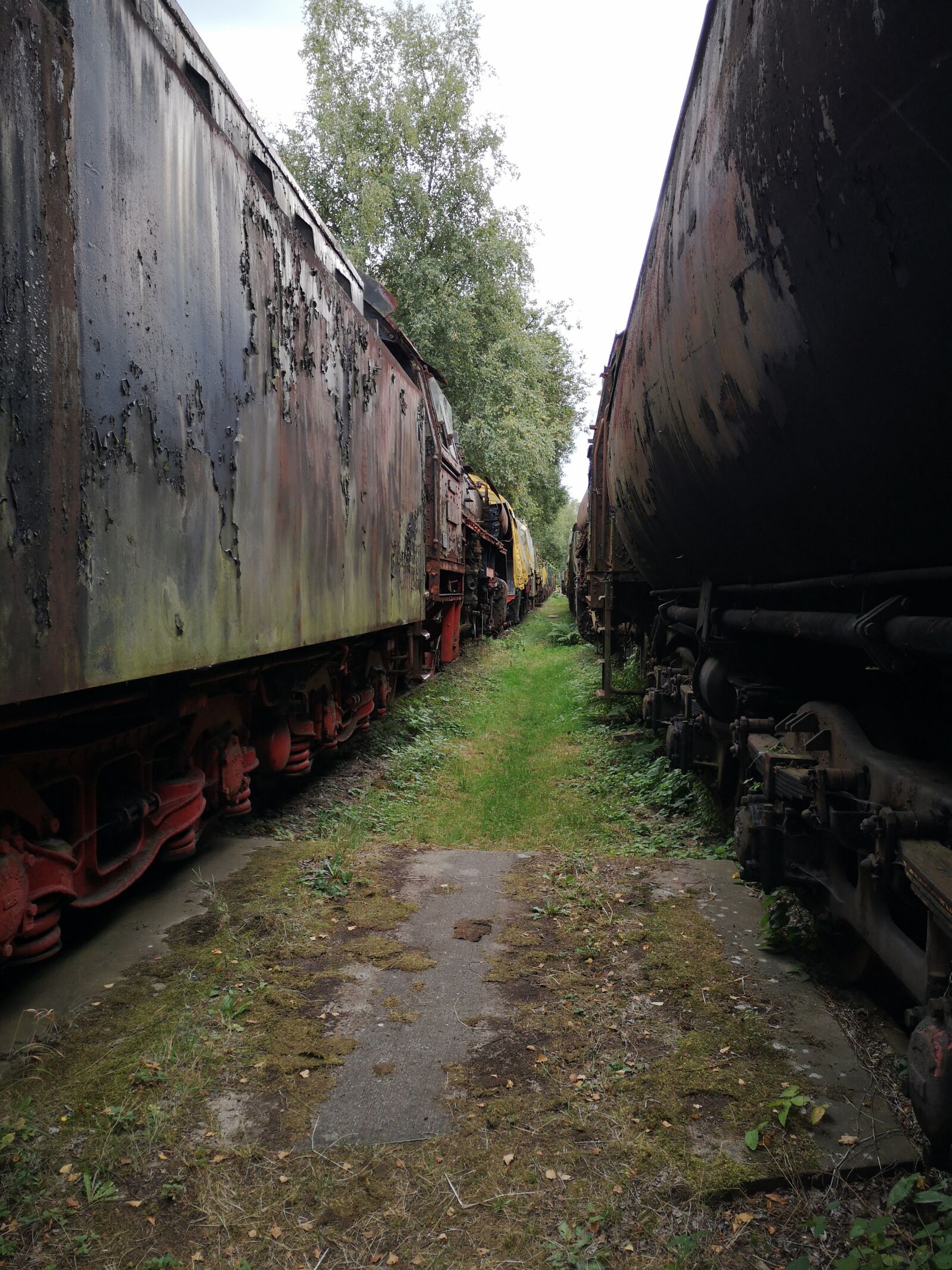 HUAWEI P20 sample photo. Railway, rust, nature photography