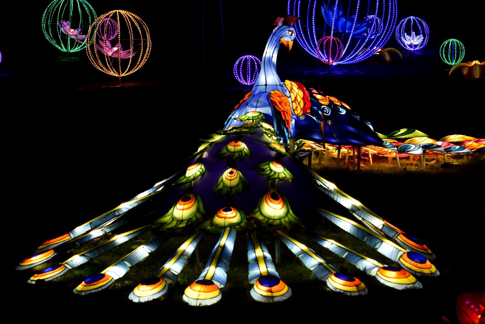 Nikon D5500 sample photo. Artwork, colorful, fantasy, peacock photography