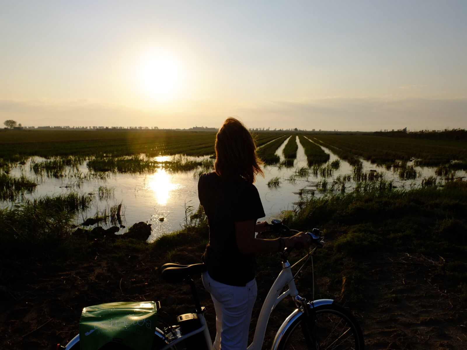 Fujifilm X10 sample photo. Bicycle, delta, del, ebre photography