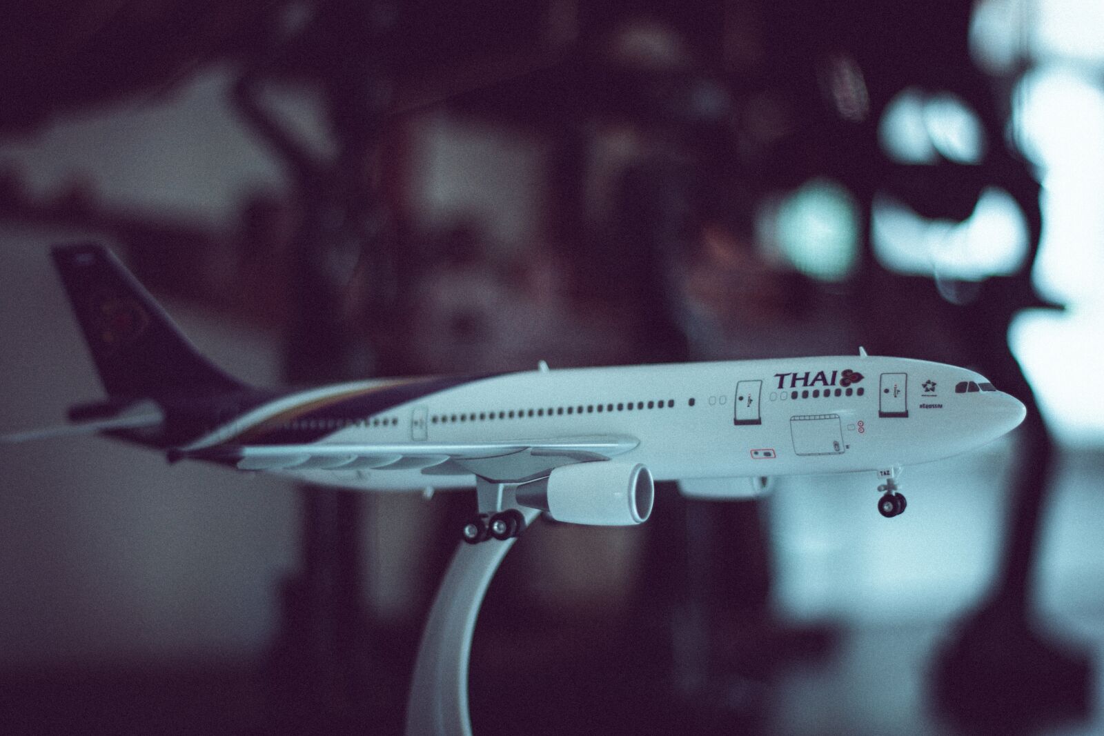 Canon EOS 700D (EOS Rebel T5i / EOS Kiss X7i) + Canon EF 50mm F1.8 STM sample photo. Model, airplane, flight pattern photography