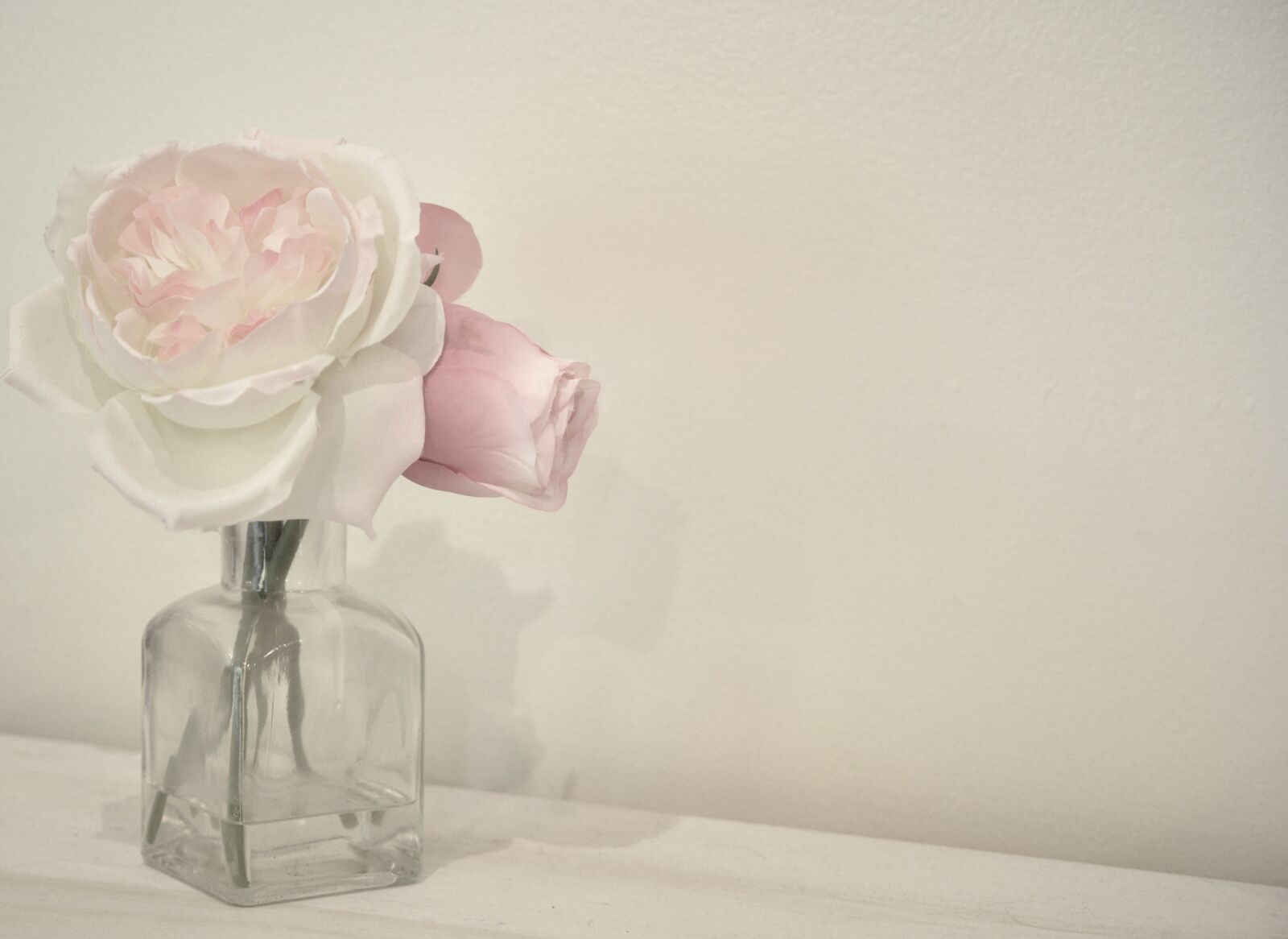 Nikon D90 sample photo. Flower, background, vase photography