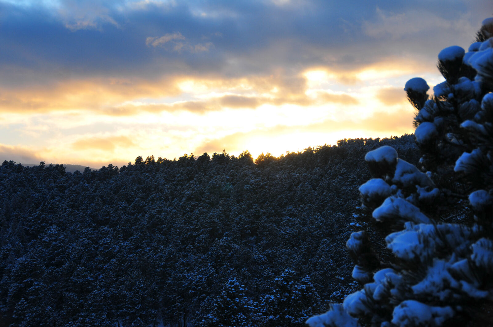 Nikon D300 sample photo