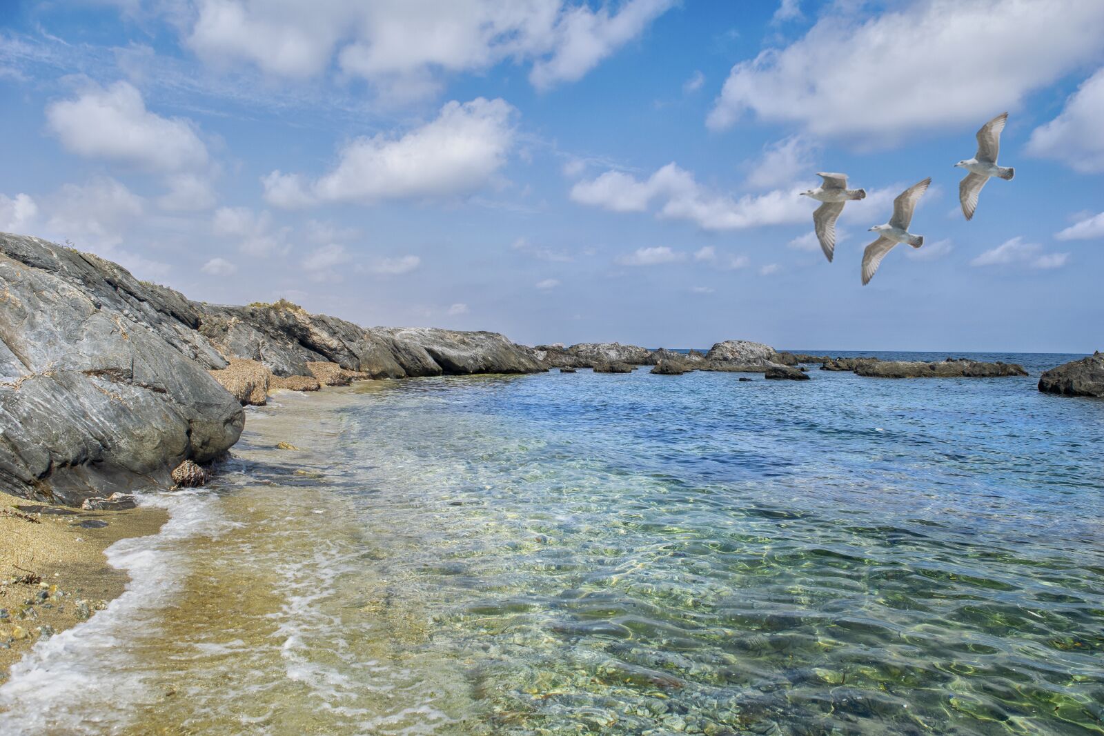 Nikon D3300 sample photo. Beach, clouds, seagulls photography
