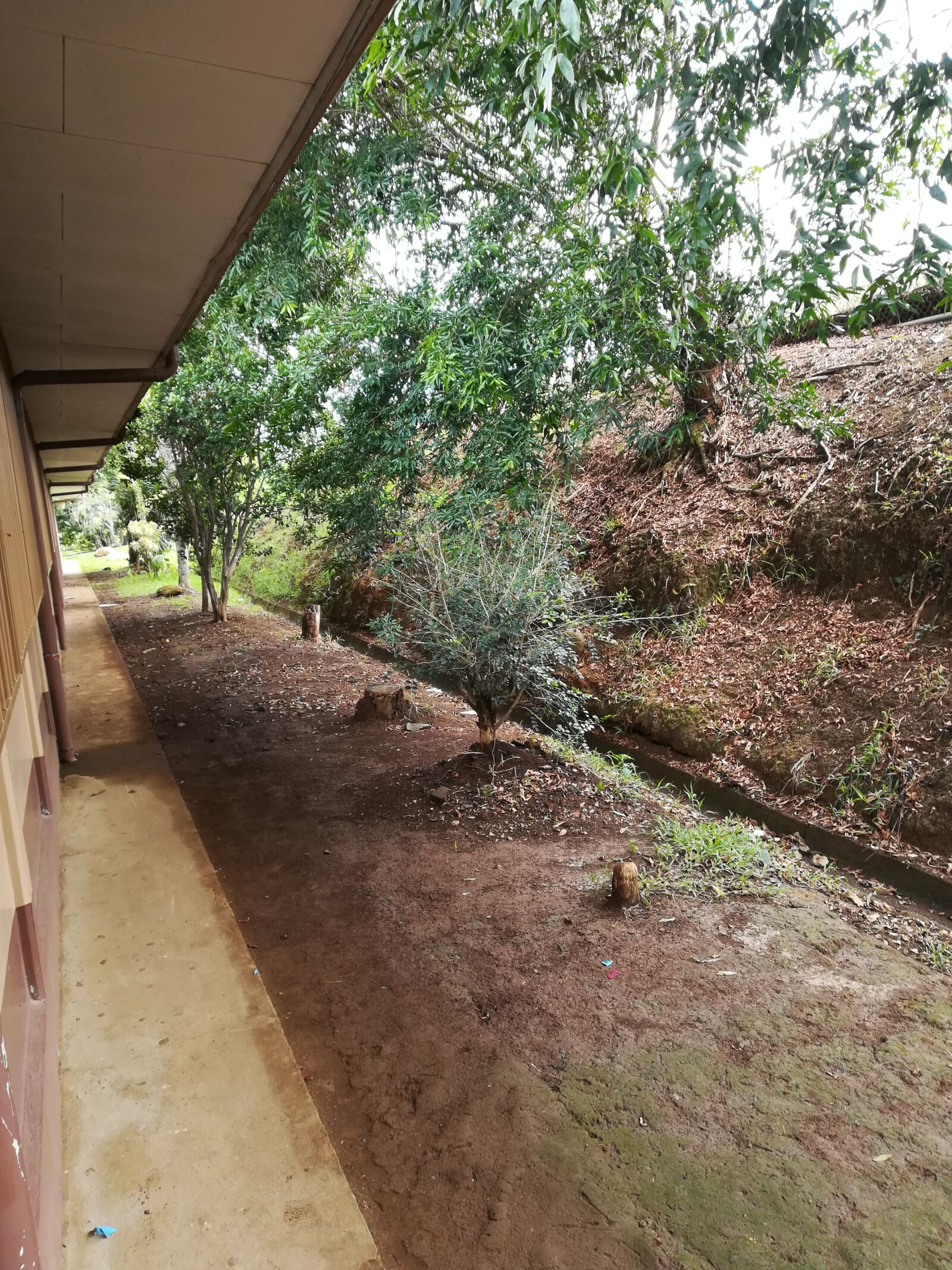 HUAWEI P10 lite sample photo. Building, garden, lyceum photography
