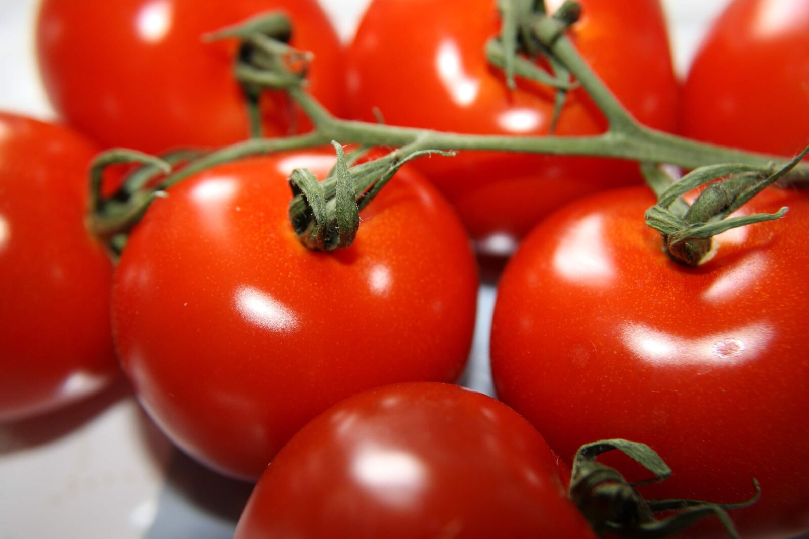 f/3.5-5.6 IS sample photo. Tomatoes, tomato, healthy, grow photography