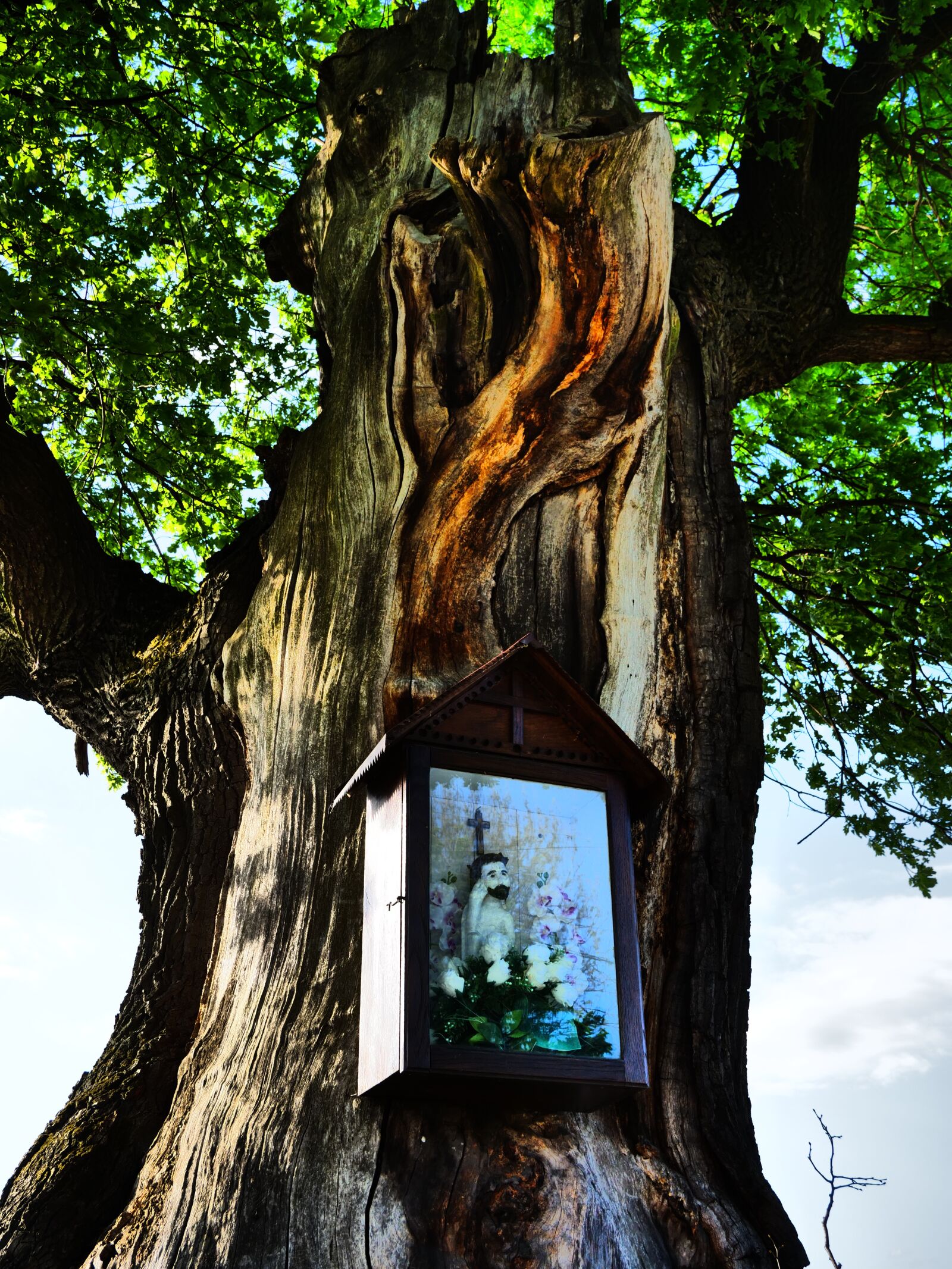 Panasonic Lumix DC-G9 sample photo. Tree, chapel, religion photography