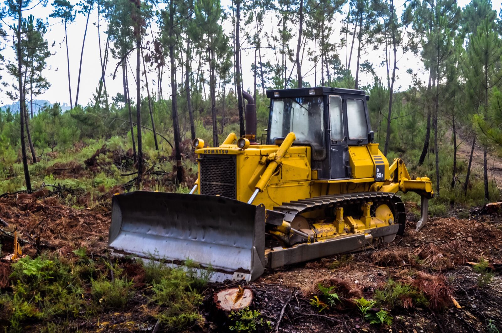 Nikon D90 sample photo. Woodland, digger, trees photography