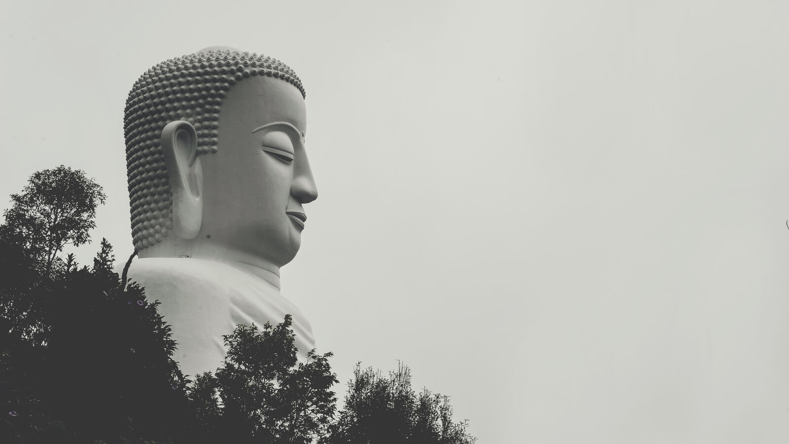 Nikon AF-S Nikkor 85mm F1.8G sample photo. Buddha, statue, grayscale, photo photography