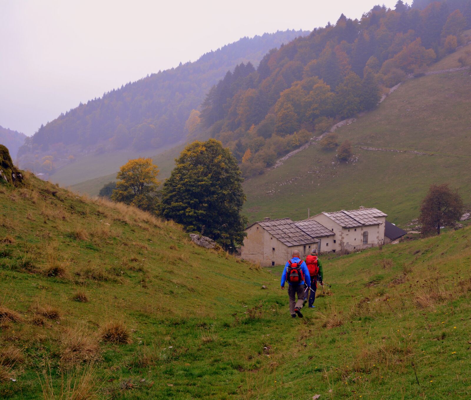 Nikon D7100 sample photo. Hiking, walk, autumn photography