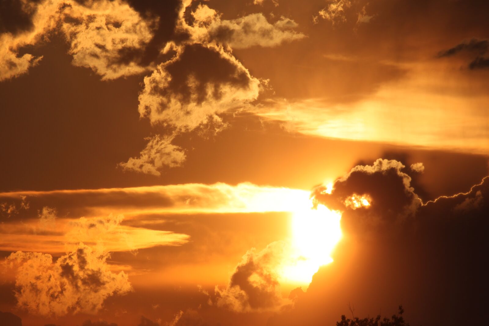 Canon EOS 500D (EOS Rebel T1i / EOS Kiss X3) sample photo. Evening, sunset, sun photography
