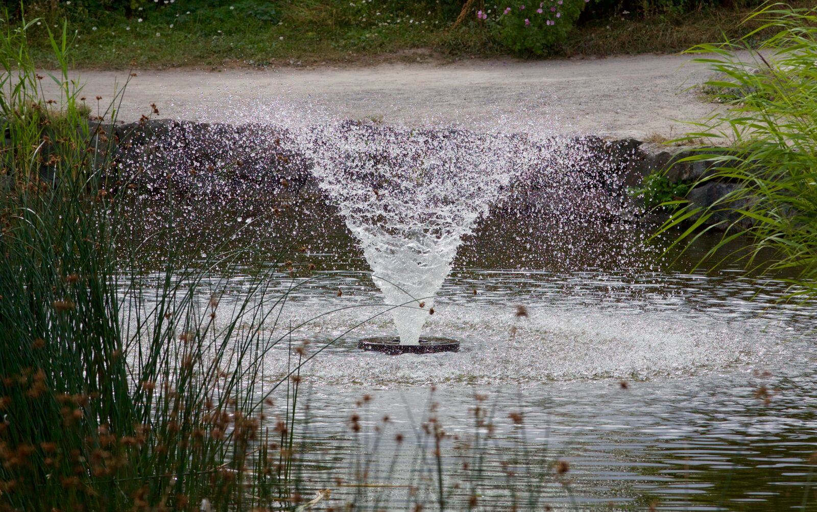 Canon EOS 5D Mark III sample photo. Fountain, park, garden photography