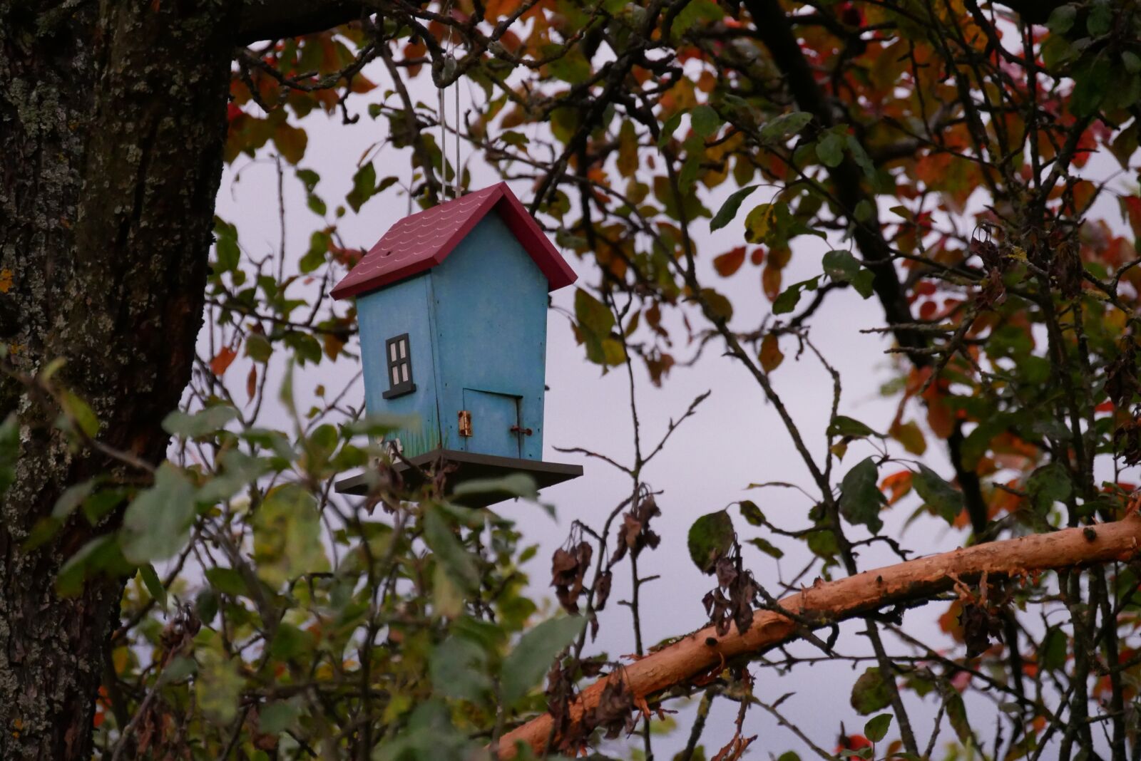 Fall bird. Птичьи домики в природе. Птичий дом фото без фона.