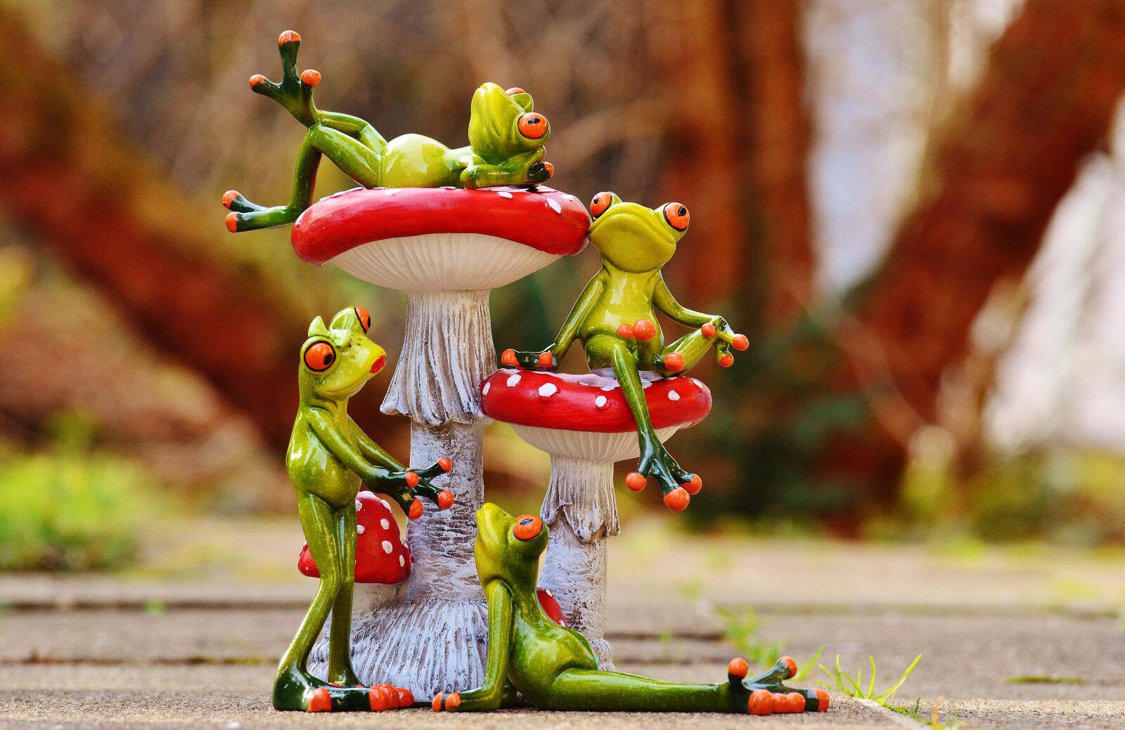 Nikon D3200 sample photo. Frogs, mushrooms, figures photography