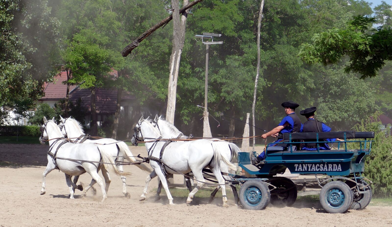Panasonic Lumix DMC-FZ1000 sample photo. Puszta, hungary, horse photography