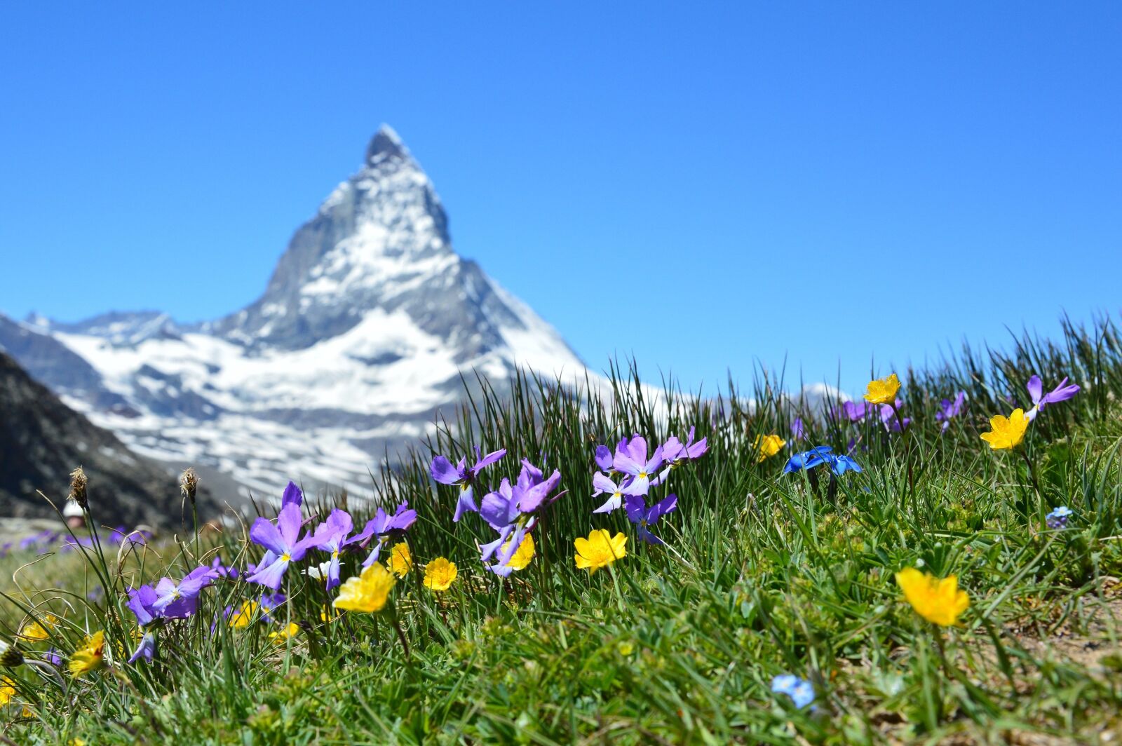 Nikon D3200 sample photo. Matterhorn, alpine, zermatt photography