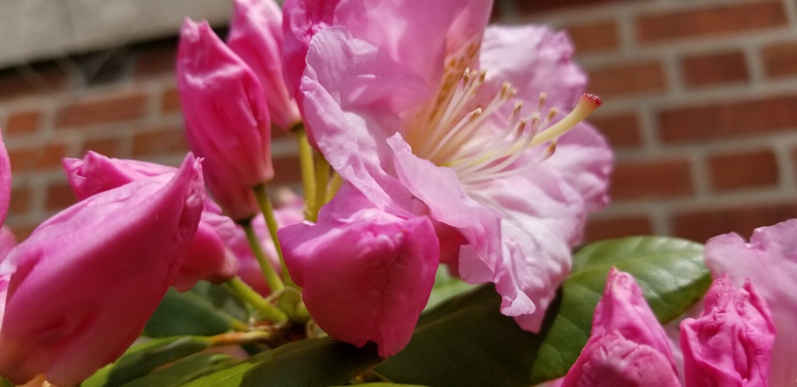 Samsung Galaxy S8 sample photo