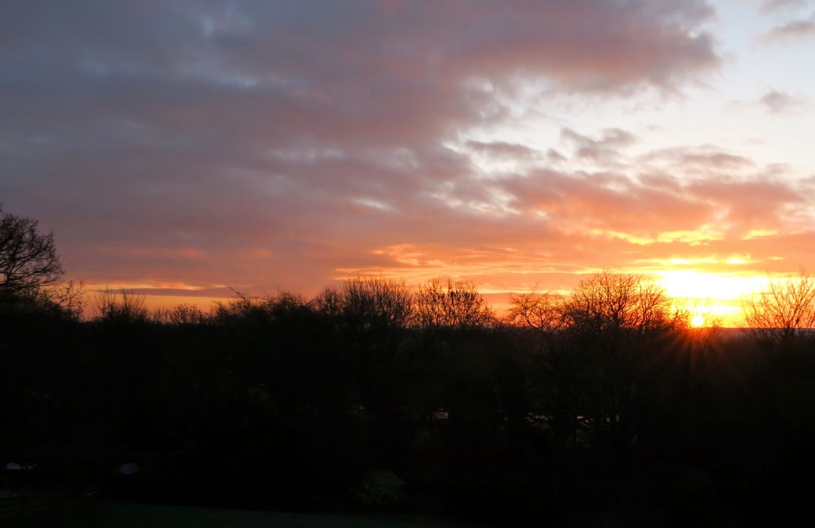 Canon PowerShot G7 X sample photo. Golden, sunrise, trees photography