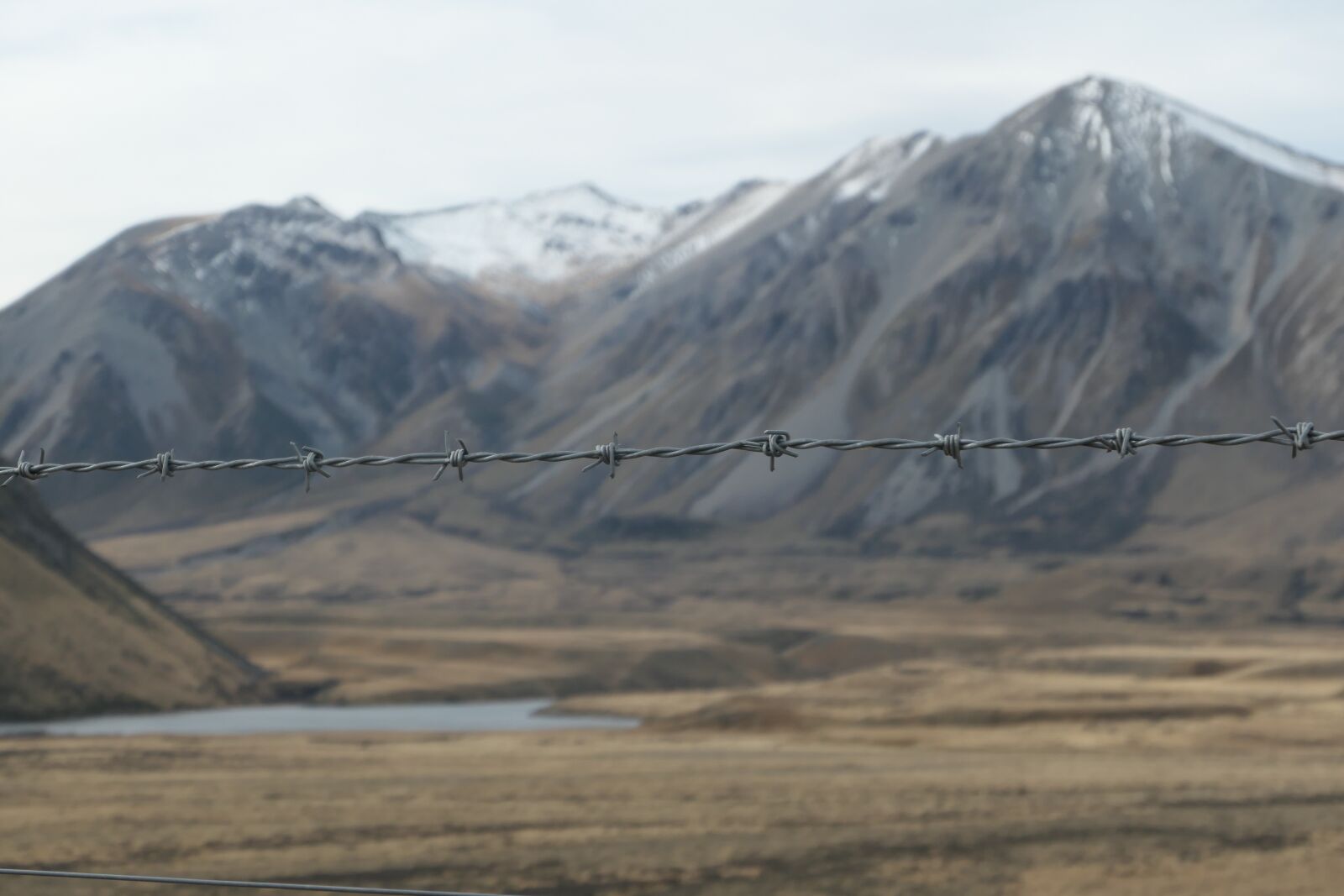 Panasonic DC-TZ220 sample photo. Barbed wire, new zealand photography
