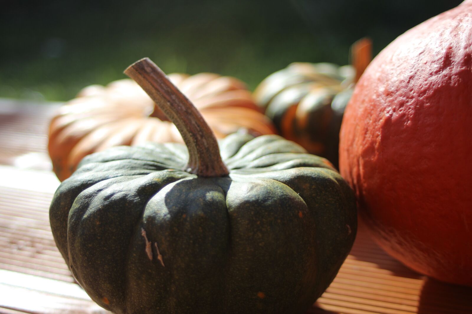 Canon EF 28-80mm f/3.5-5.6 sample photo. Pumpkin, autumn, decoration photography