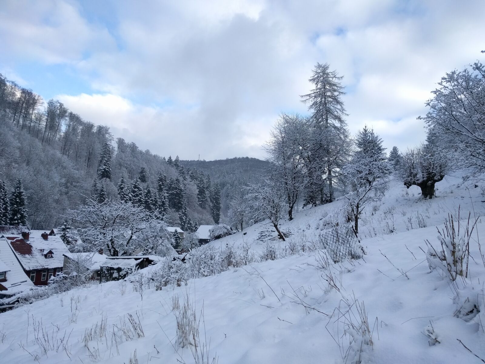 LG Nexus 5X sample photo. Winter, snow, wintry photography