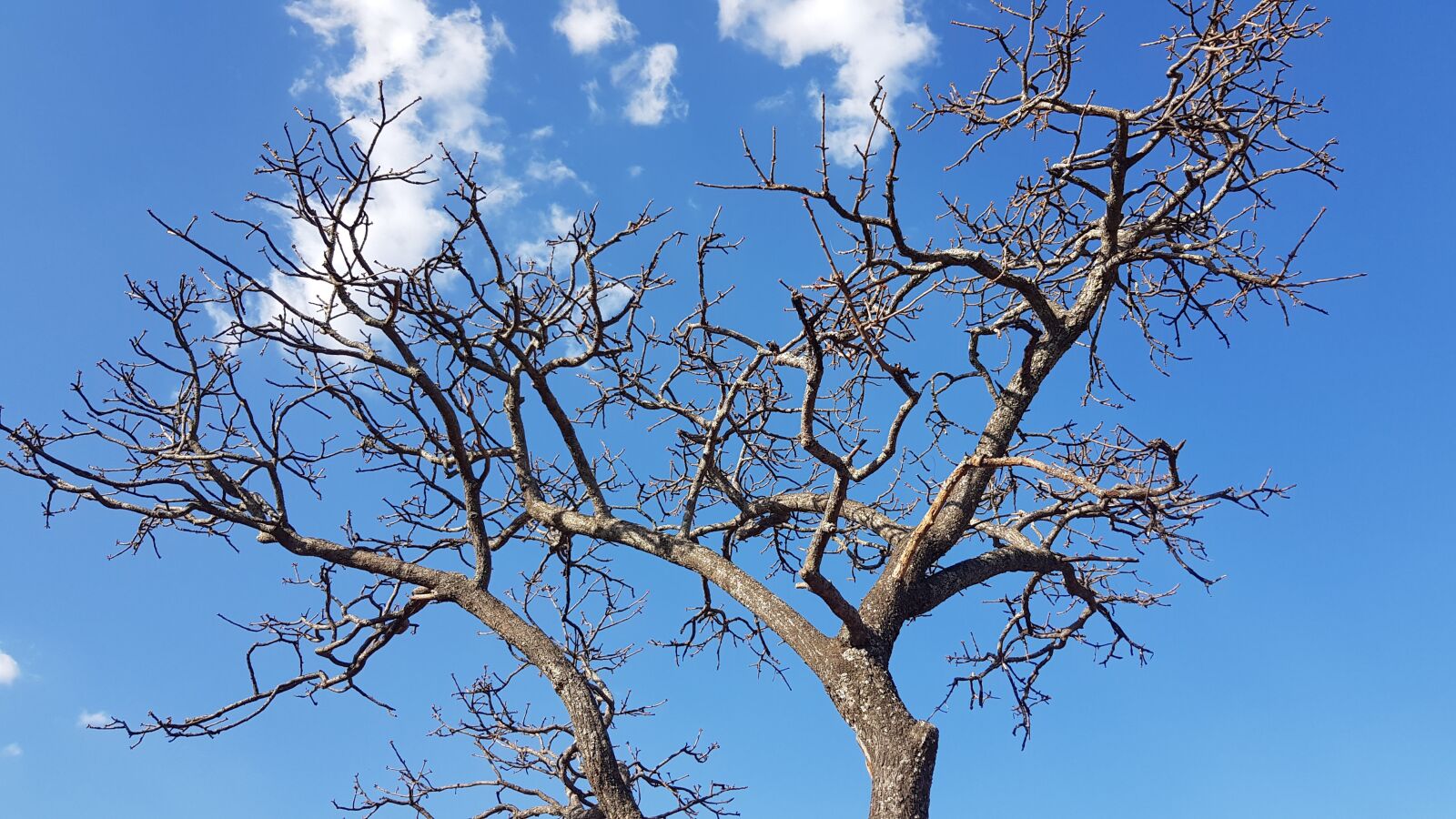 Samsung Galaxy S8+ sample photo. Sunlight, sky, sun photography