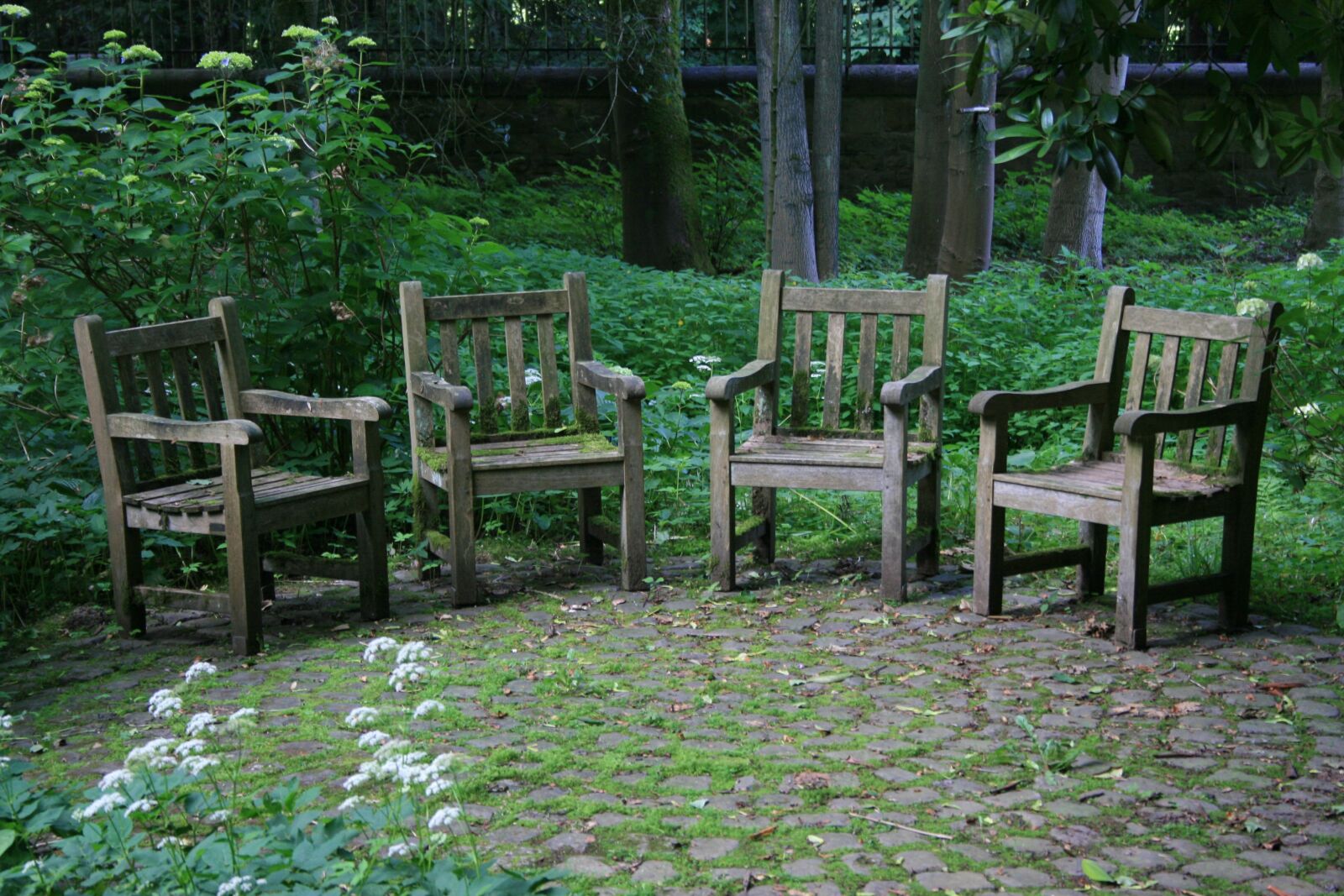 Canon EOS 400D (EOS Digital Rebel XTi / EOS Kiss Digital X) sample photo. Wood, seat, garden photography