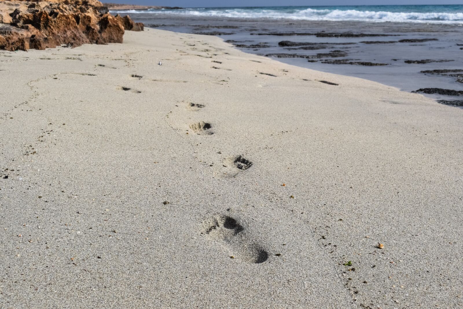 Nikon D3300 sample photo. Footprints, steps, sand photography