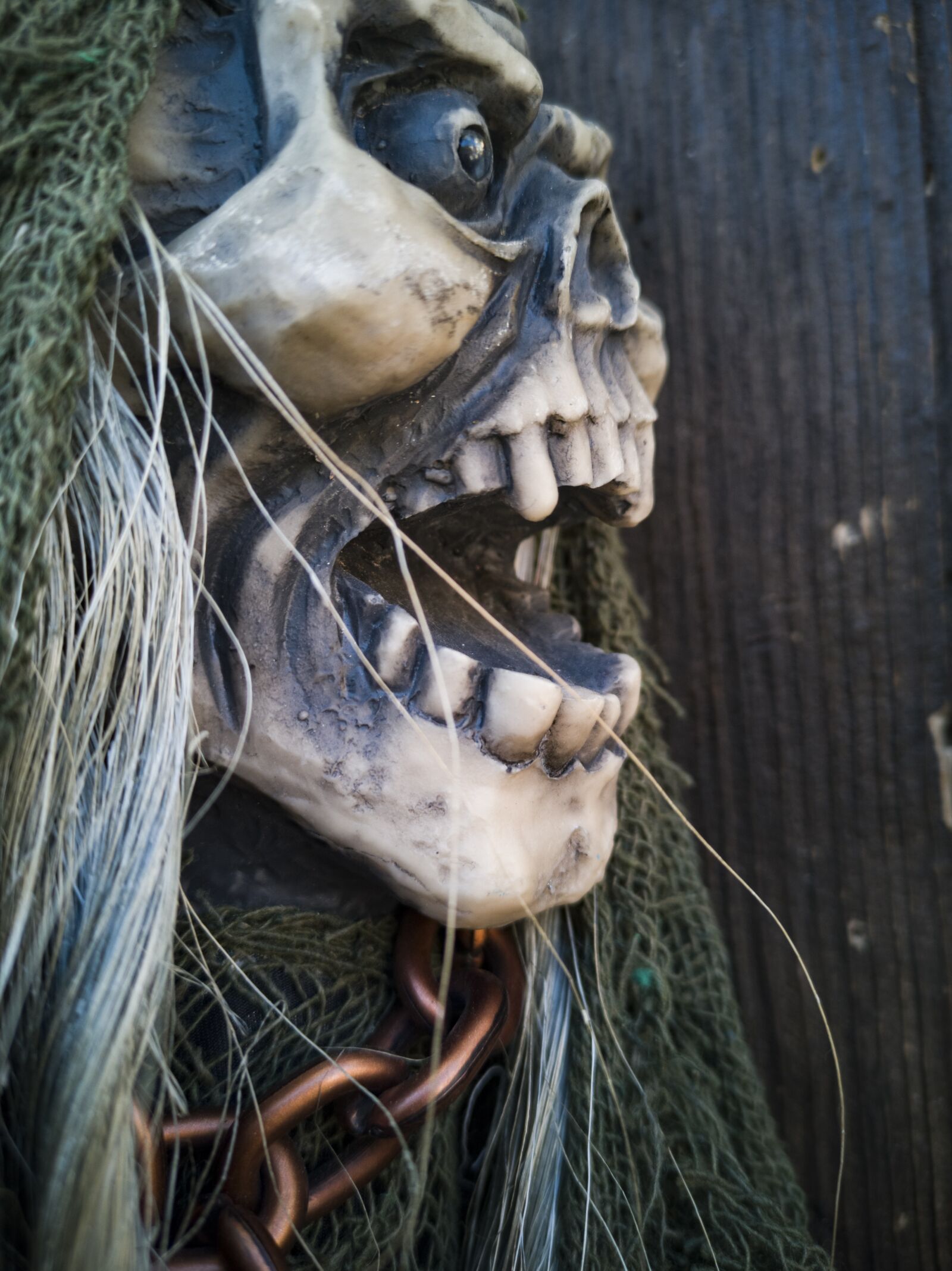 HUAWEI CLT-L09 sample photo. Monster, horror, skull photography