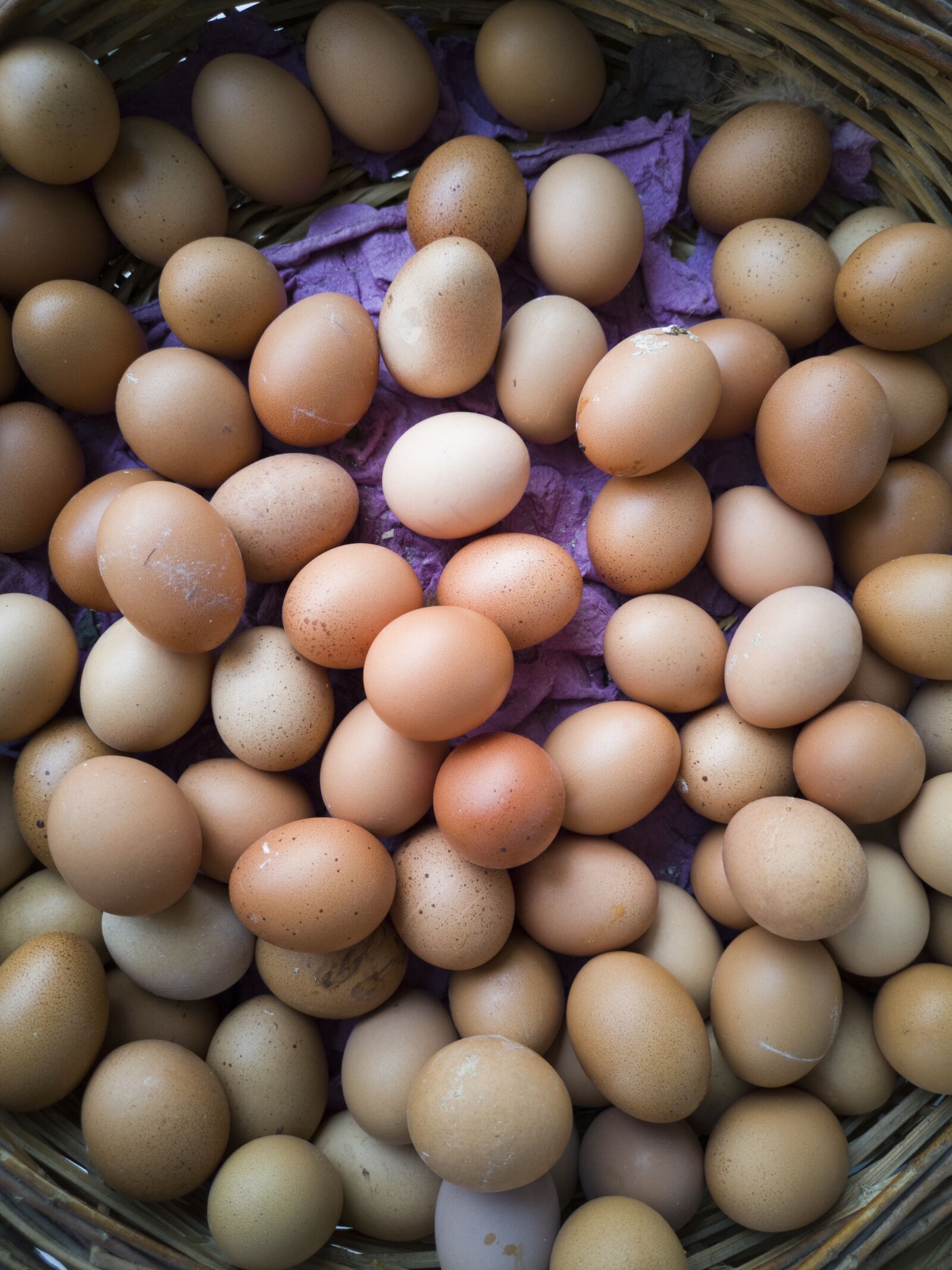 HUAWEI CLT-L09 sample photo. Eggs, egg, chicken photography
