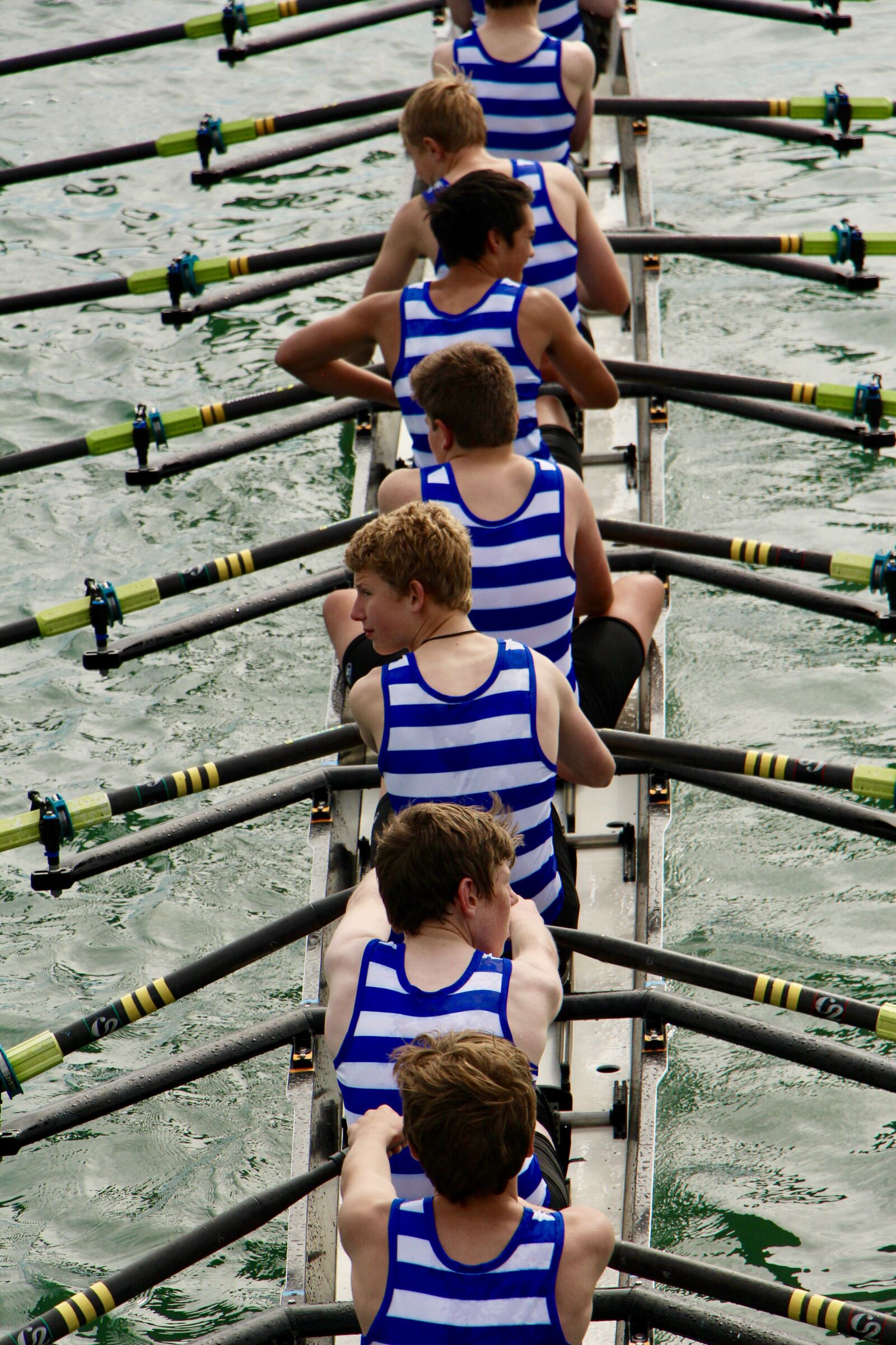 Canon EOS 650D (EOS Rebel T4i / EOS Kiss X6i) + Canon EF-S 18-135mm F3.5-5.6 IS STM sample photo. Row, rowing, rowers photography