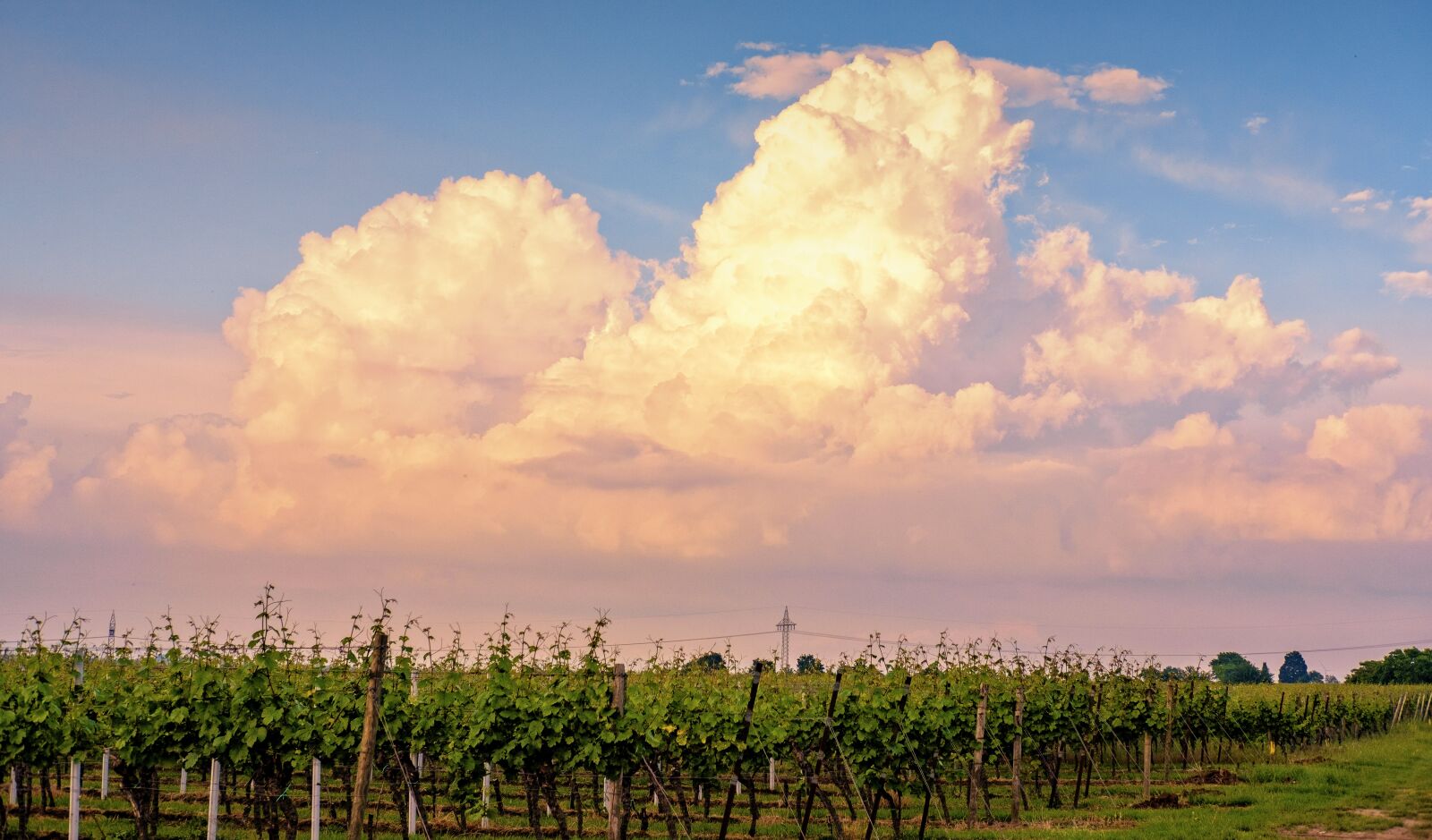Fujifilm X-T2 + Fujifilm XF 35mm F2 R WR sample photo. Clouds, sky, wine photography