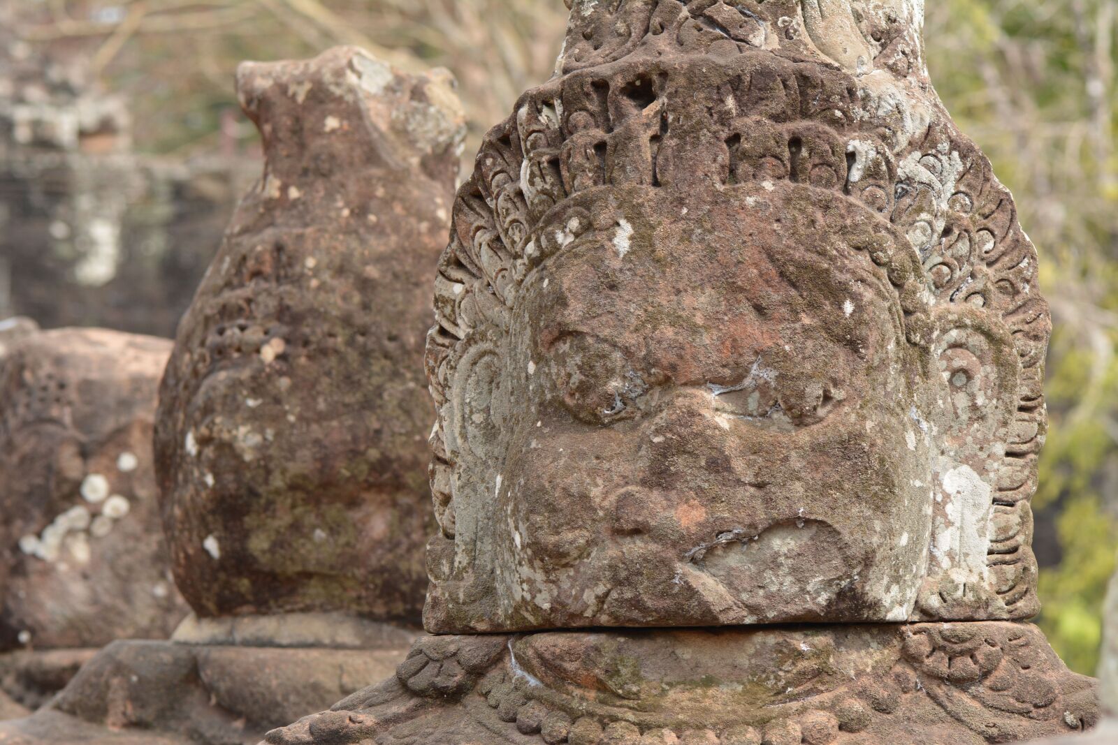 Nikon D7100 sample photo