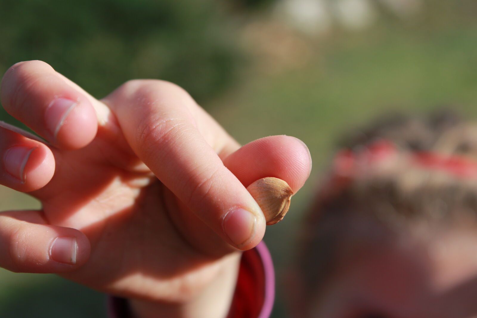 Canon EF-S 18-55mm F3.5-5.6 IS sample photo. Hand, macro, macro, photo photography