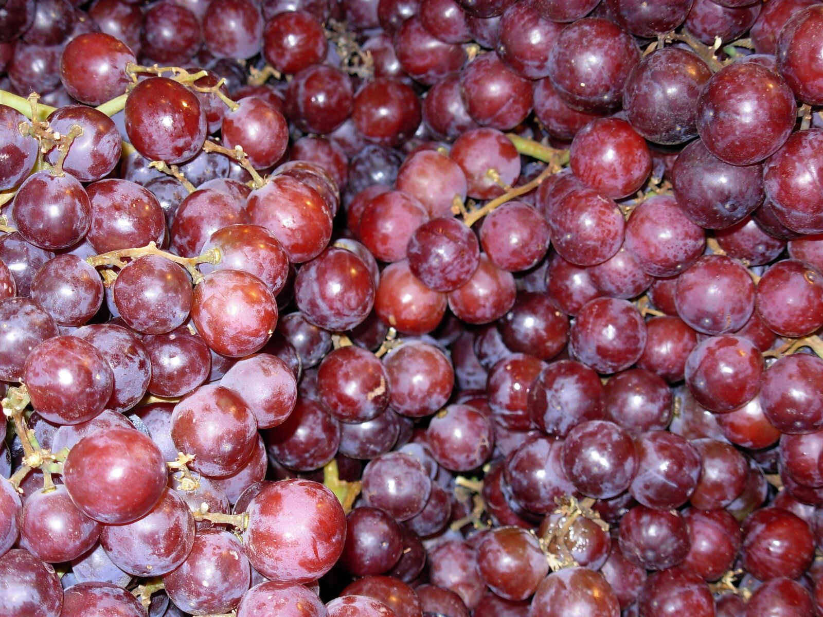 Nikon COOLPIX L5 sample photo. Grapes, purple, fruit photography