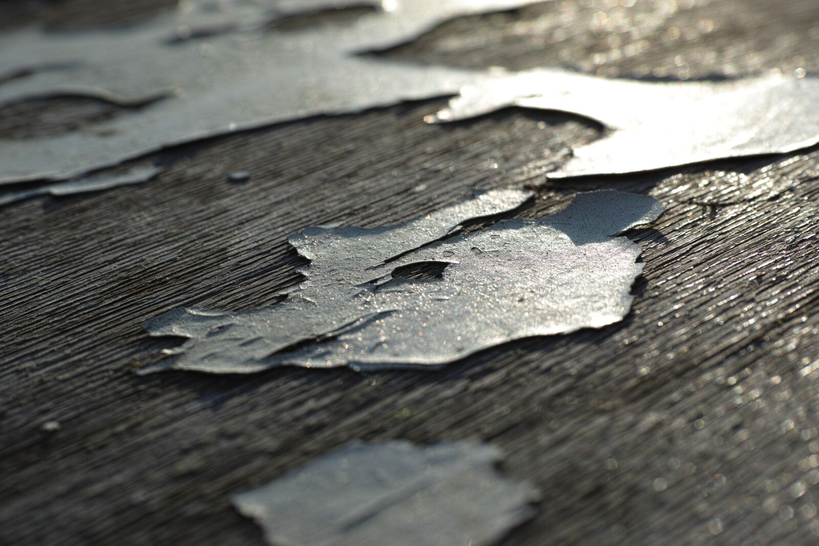 Sigma DP3 Merrill sample photo. Abstract, wood-fibre boards, painted photography