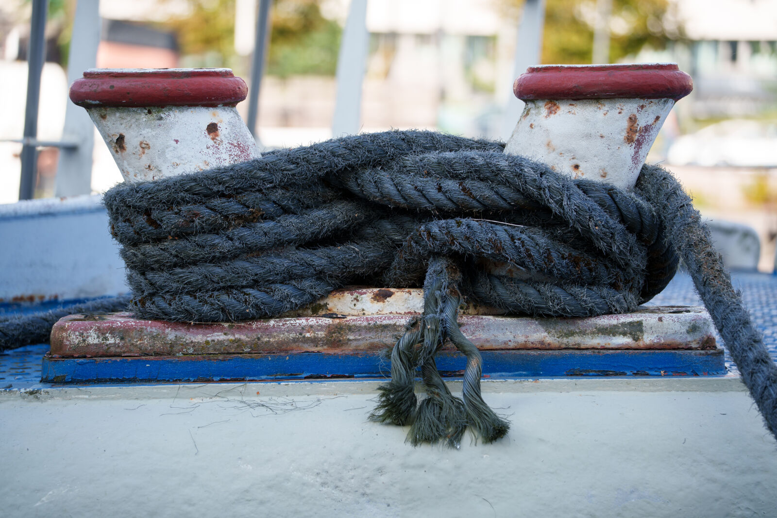 Tamron 50-300mm F4.5-6.3 Di III VC VXD sample photo. Boat rope photography
