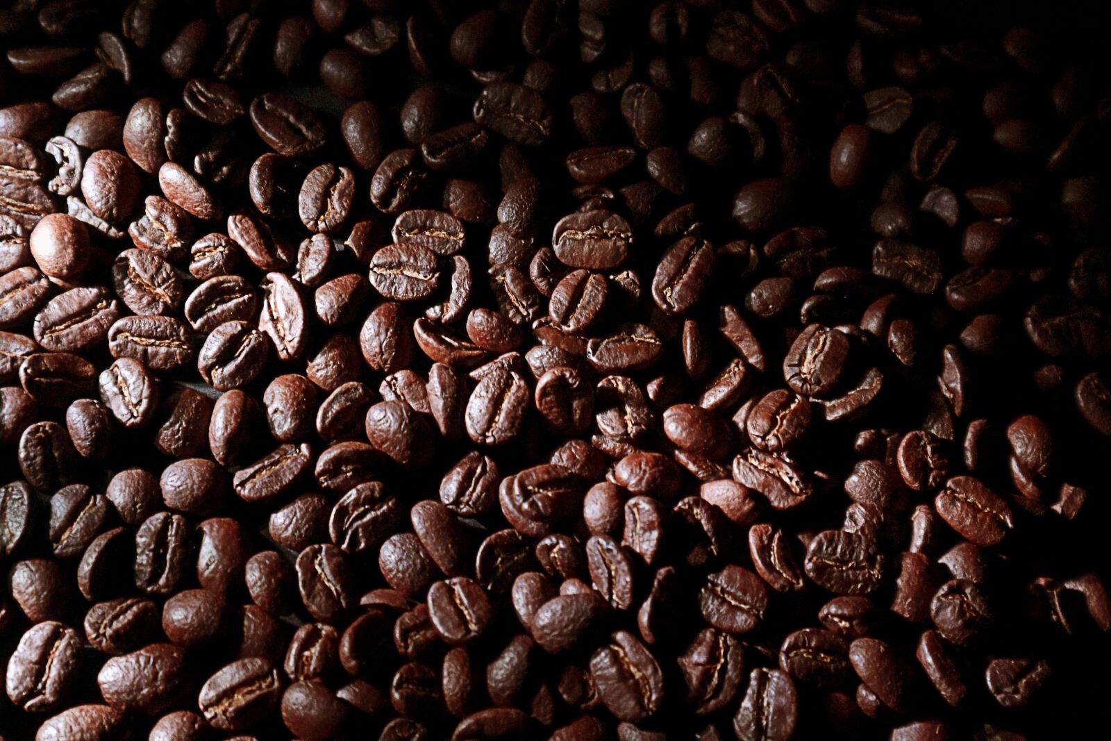 Canon EOS M50 (EOS Kiss M) sample photo. Coffee, grain, aroma photography