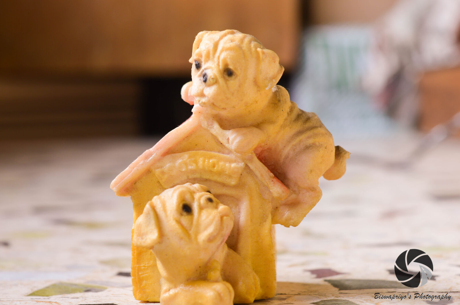 Nikon D3200 sample photo. Puppy photography