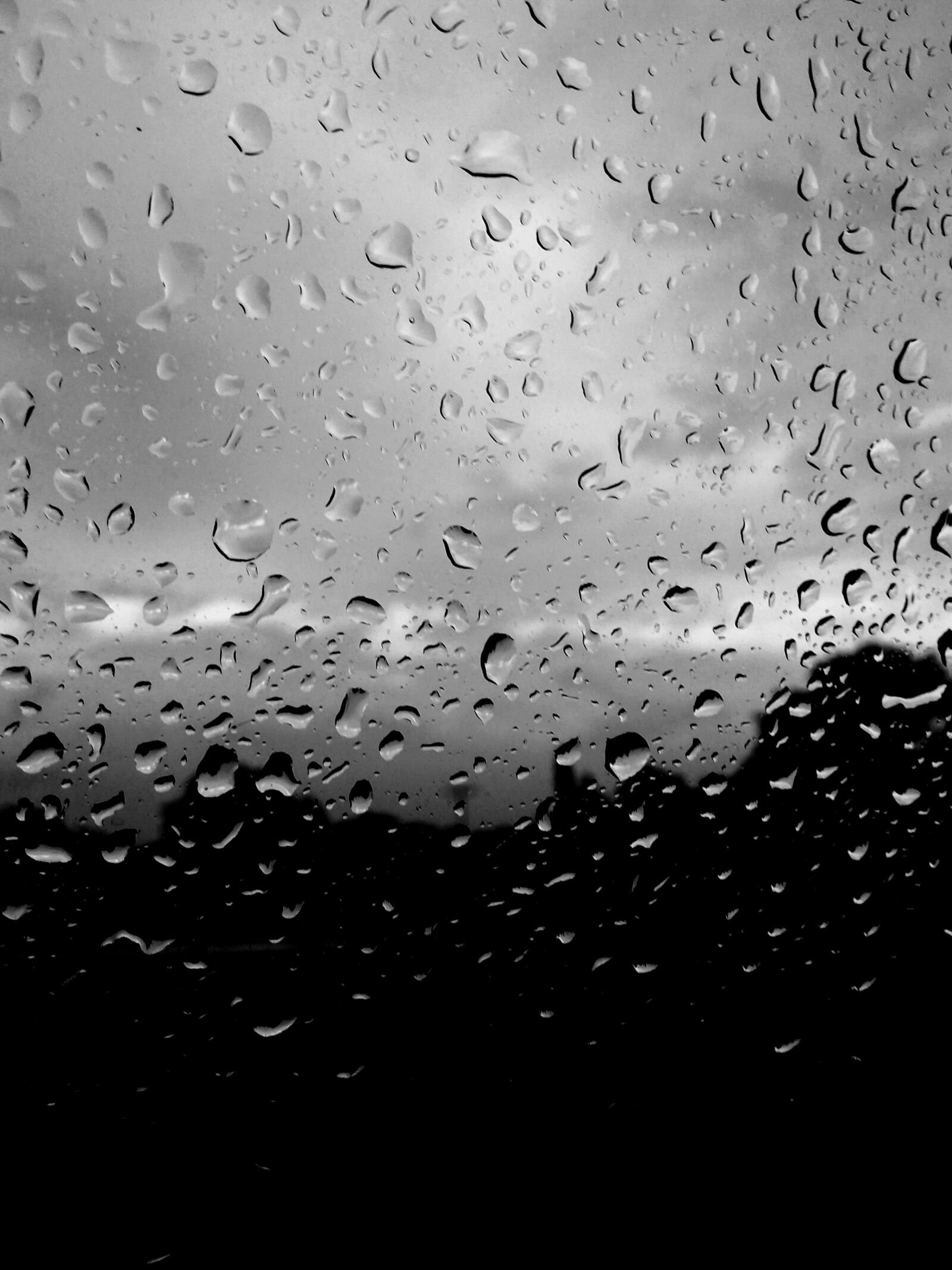 OPPO A51w sample photo. Raindrop, rain, thunder photography