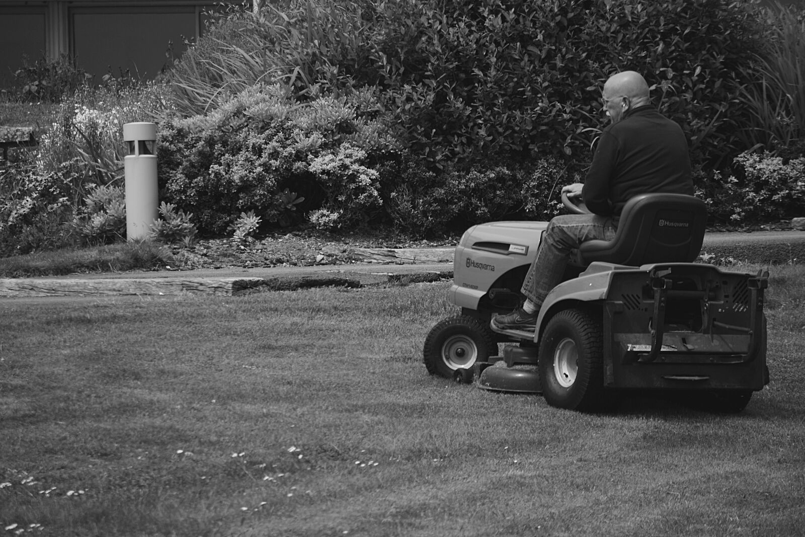 Nikon D5200 sample photo. Man, in, black, polo photography