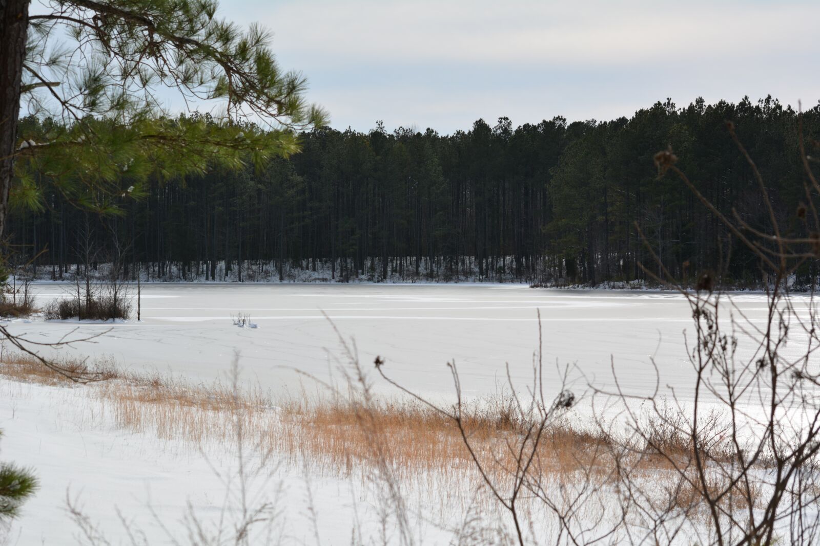 Nikon D7100 sample photo. Frozen, lake, pond photography