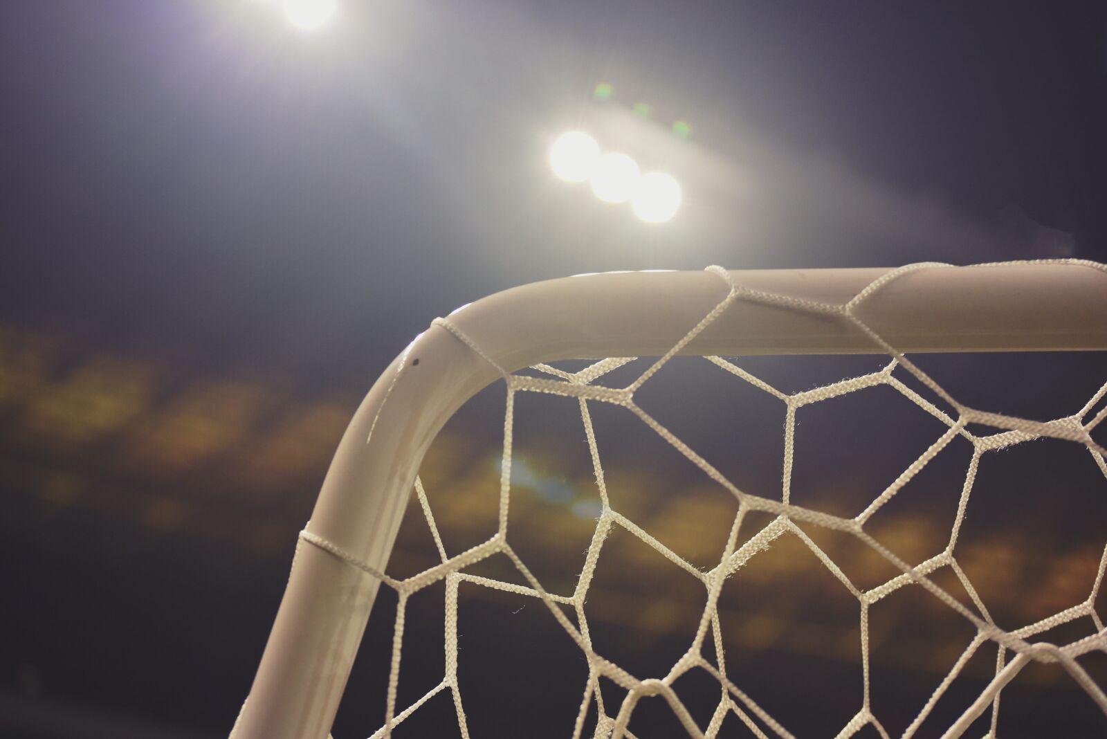 Nikon D750 sample photo. Soccer, net, sports photography
