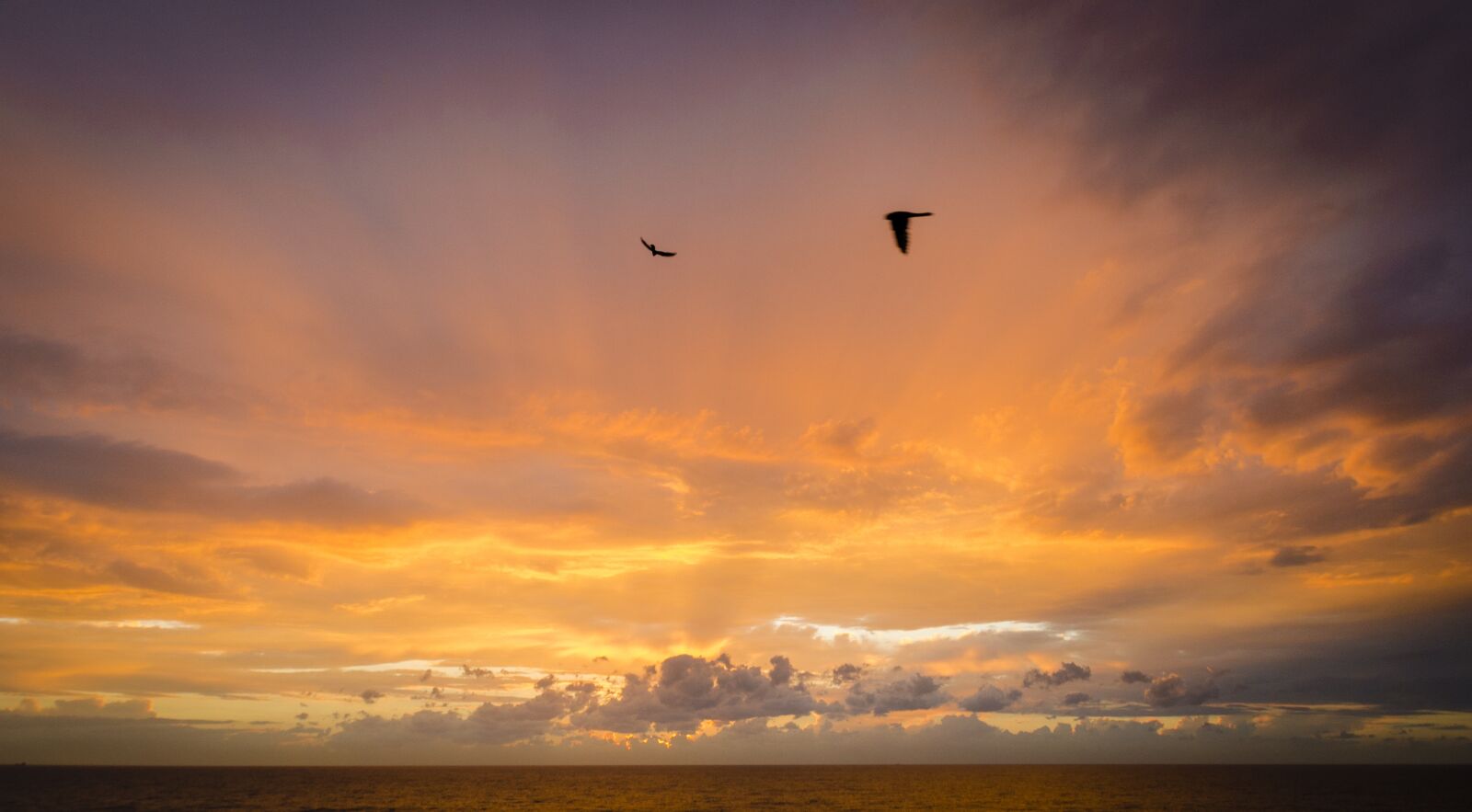 Nikon D7000 sample photo. Dawn, sea, valencia photography